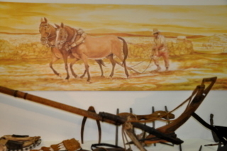 Museo Fuente Álamo