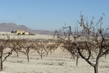 History of Calasparra