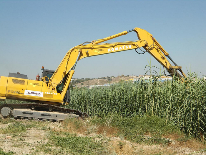Campaign to clear rivers of reeds and canes underway