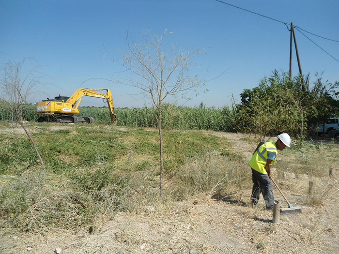 Campaign to clear rivers of reeds and canes underway