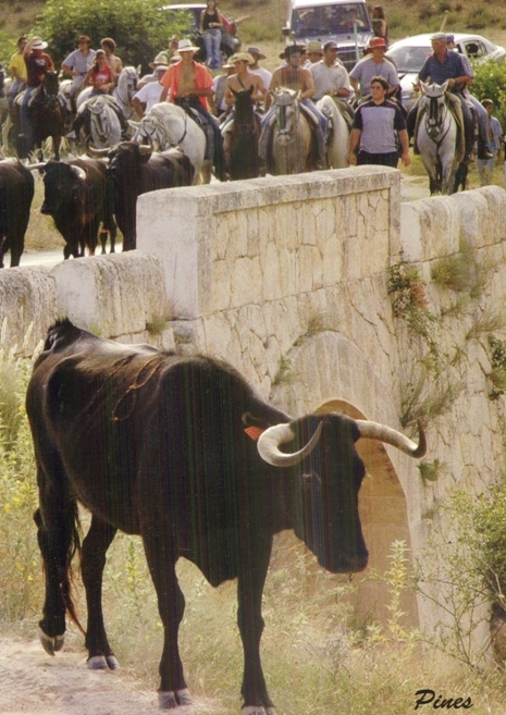 Moratalla Fiestas and Bull running 11th to 17th July