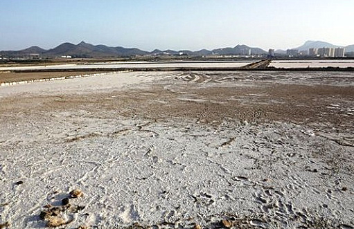 Mar Menor, water again flowing into the Marchamalo salt flats