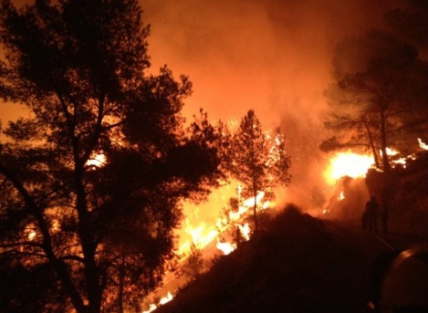 Moratalla fire damage will cost 9 million euros to repair