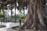 Plaza de España, Águilas