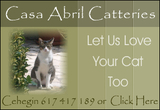 Casa Abril Catteries Cehegin a cosy home for your Cat.