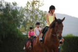 META Summer Riding School 2013