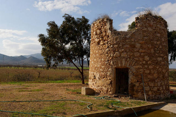 Mazarrón pedanías, El Mingrano