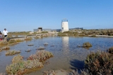 Parque Regional Salinas y Arenales de san Pedro del Pinatar.
