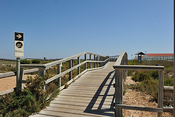 Introduction to beaches of San Pedro del Pinatar.