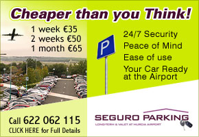 Seguro Parking 