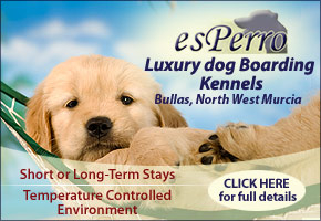 esPerro dog kennels