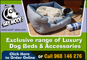 Say Woof Banner