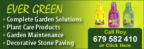 Evergreen Gardening services
