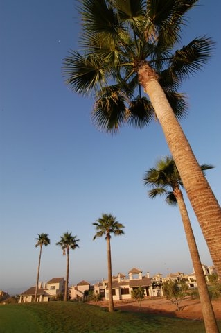 Hacienda del Alamo